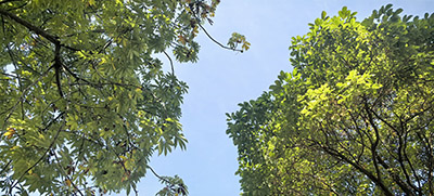 南京專精特新申報 南京專精特新申報